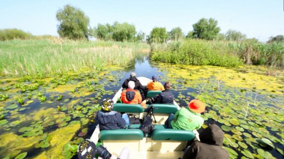 Cu barca prin Delta Dunării