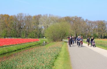Cu bicicleta prin Olanda