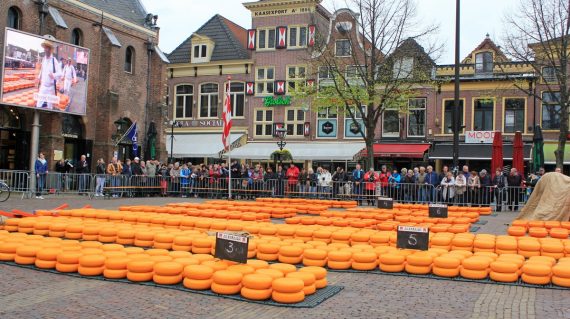 Piata de branzeturi in Olanda
