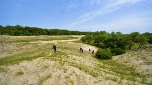 Excursie printre dunele de nisip din Letea